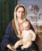 BELLINI, Giovanni Madonna and Child mmmnh oil on canvas